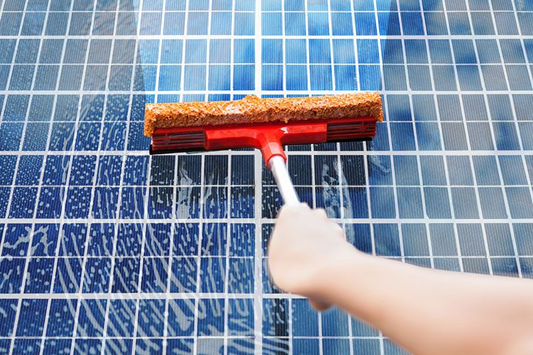 solar panel being cleaned at home