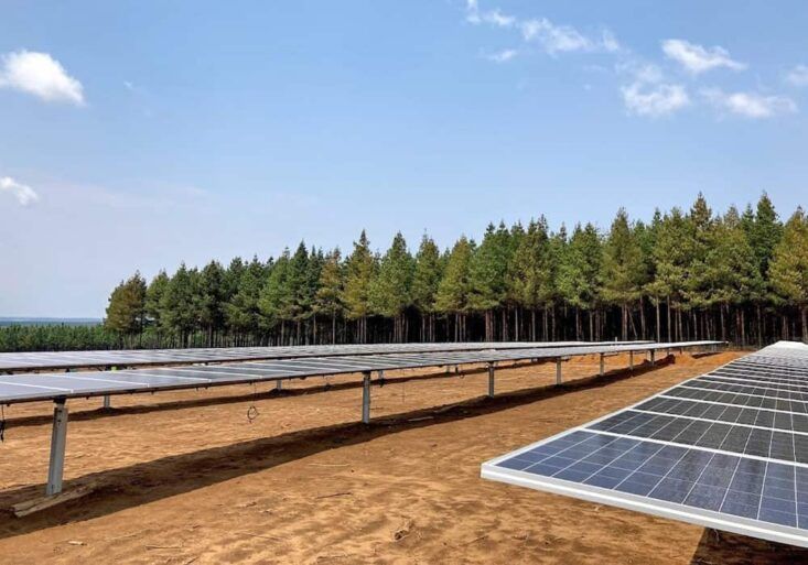 Warburton Solar Farm